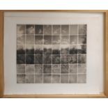 NOEL MYLES (B.1947) 'Orchards, April', platinum print, signed, titled, numbered, 53cm x 60cm,