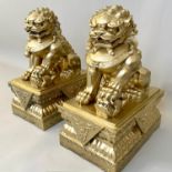 DOGS OF FO, Chinese design gilt finish, 45cm H x 21cm x 31cm.