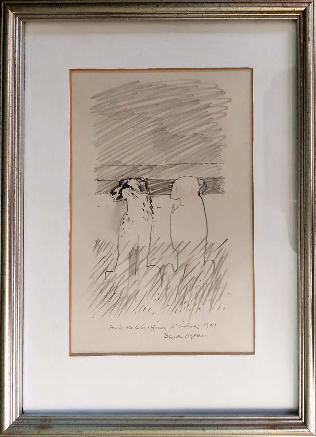 BRYAN ORGAN 'Seated Leopards', pencil drawing, signed and inscribed, 32cm x 23cm, framed. (Subject