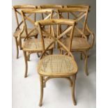 DINING CHAIRS, a set of six, oak bentwood with X backs and cane seats including two with arms. (6)