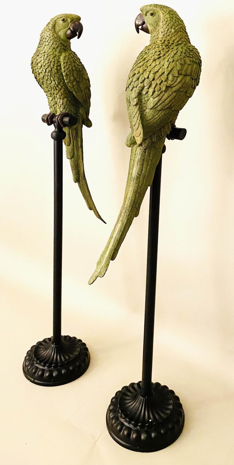 SCULPTURAL PARROTS ON STANDS, a pair, polychrome finish, 166cm H. (2) - Image 4 of 6