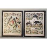 FRENCH NATURALIST PRINTS, a set of two, reproduction vintage style, 110cm x 87cm, framed. (2)