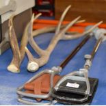 2 ANTLER DISPLAYS & 2 VARIOUS SHOOTING STICKS