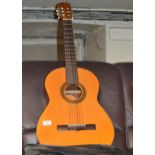 ACOUSTIC GUITAR WITH CARRY CASE