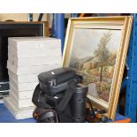 ASSORTED DISPLAY PLATES, VARIOUS CAMERAS, QUANTITY STICKS & MODERN FRAMED OIL ON CANVAS