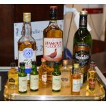 TRAY CONTAINING A TRIPLE WHISKY SELECTION & 10 VARIOUS WHISKY MINIATURES