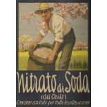 Nitrato di Soda del Cile