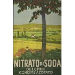 Nitrato di soda