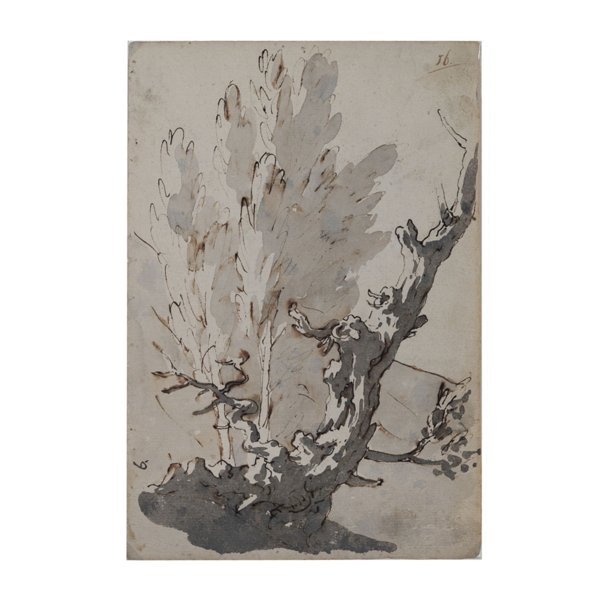 Giambattista Tiepolo (Venezia 1696 - Madrid 1770)
