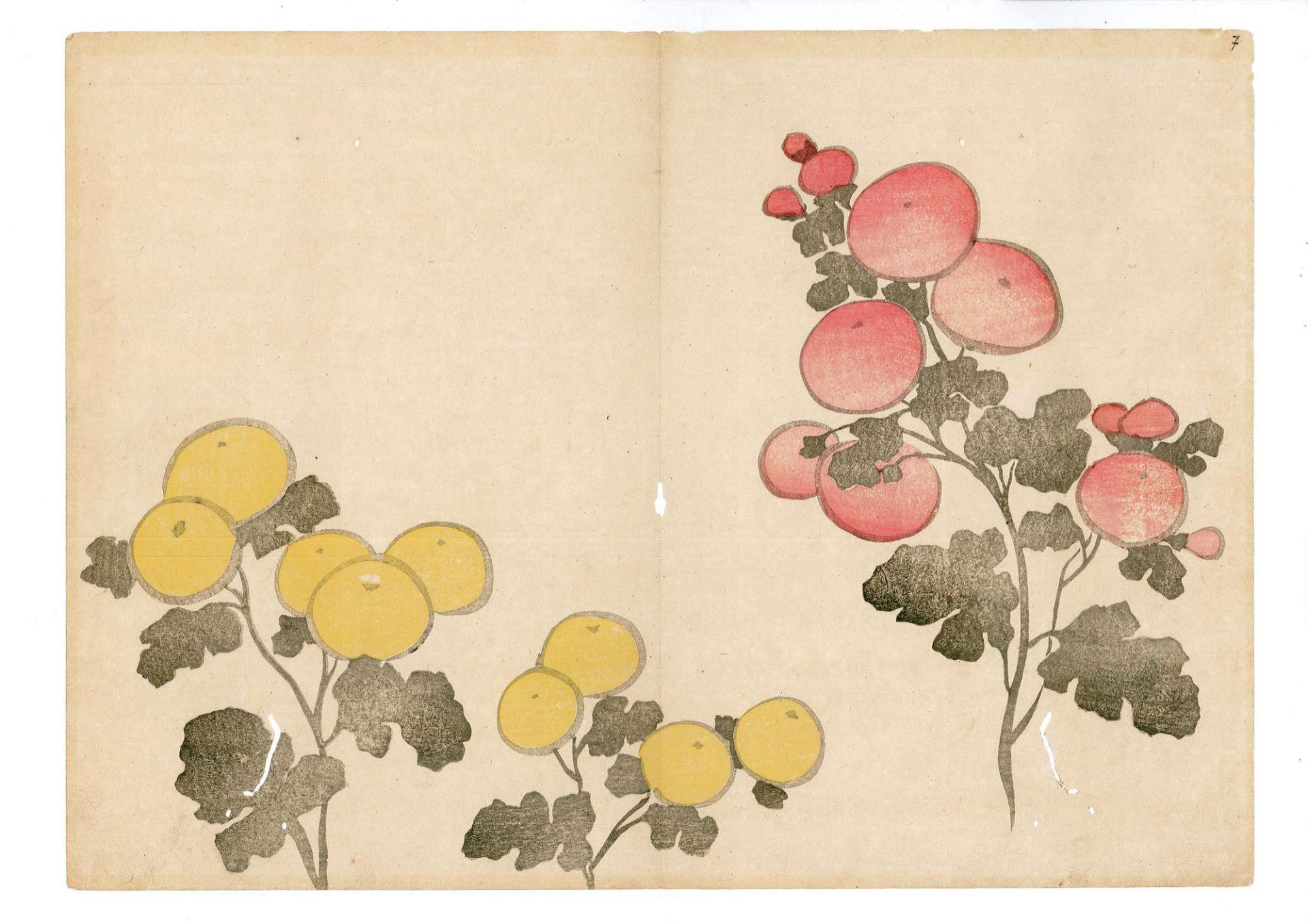 Ogata K?rin (Kyoto 1658 - 1716) attribuito - Image 9 of 14