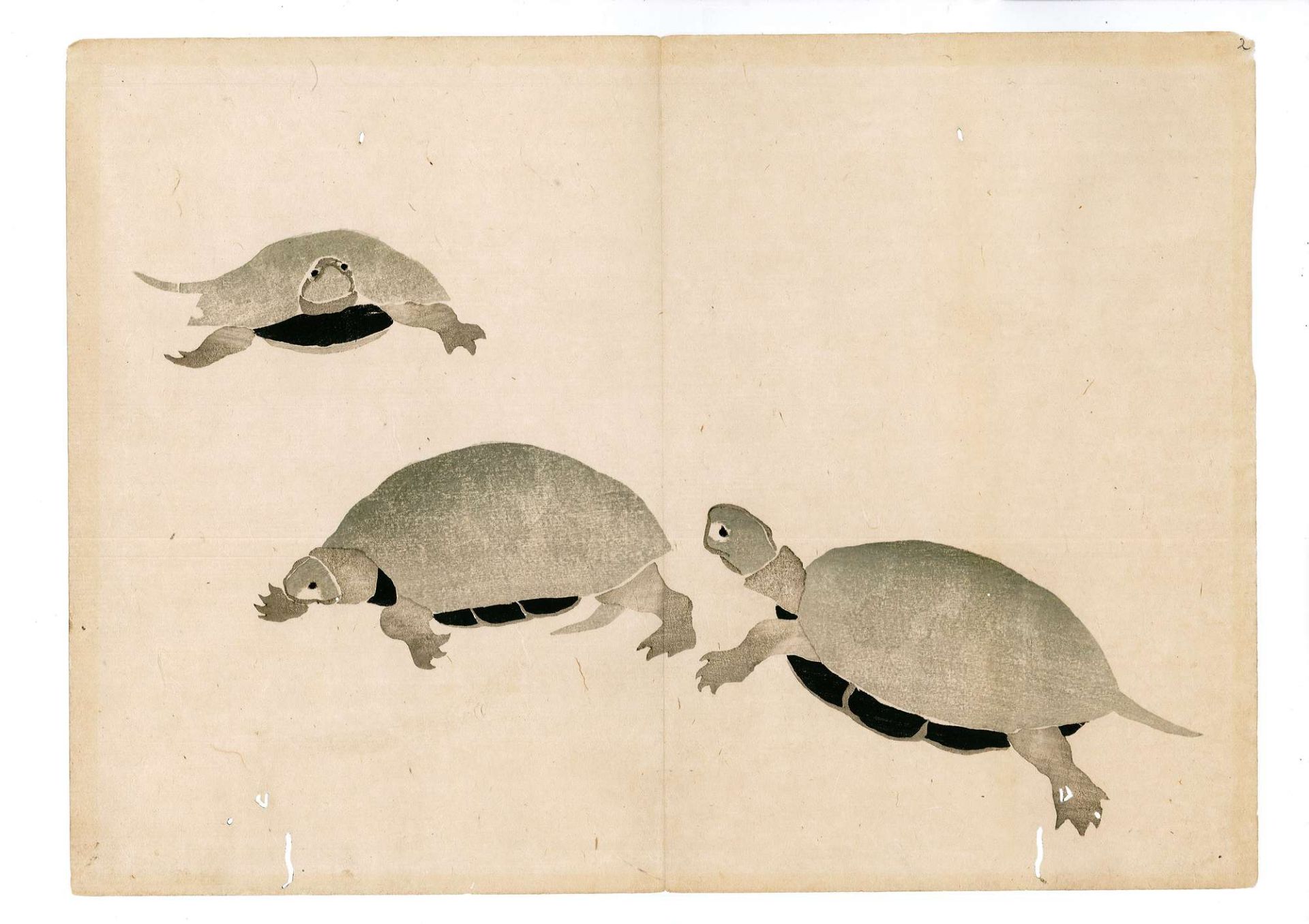 Ogata K?rin (Kyoto 1658 - 1716) attribuito - Image 16 of 16
