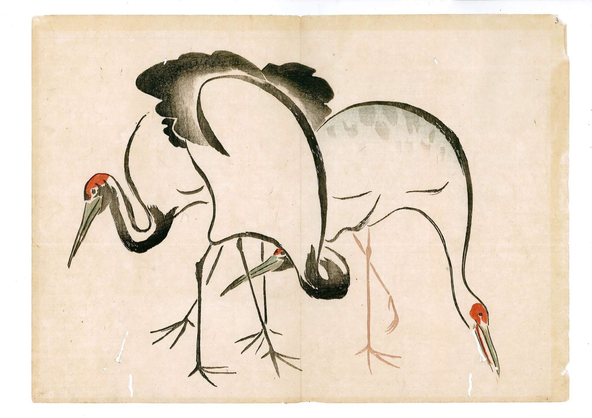 Ogata K?rin (Kyoto 1658 - 1716) attribuito - Image 15 of 16