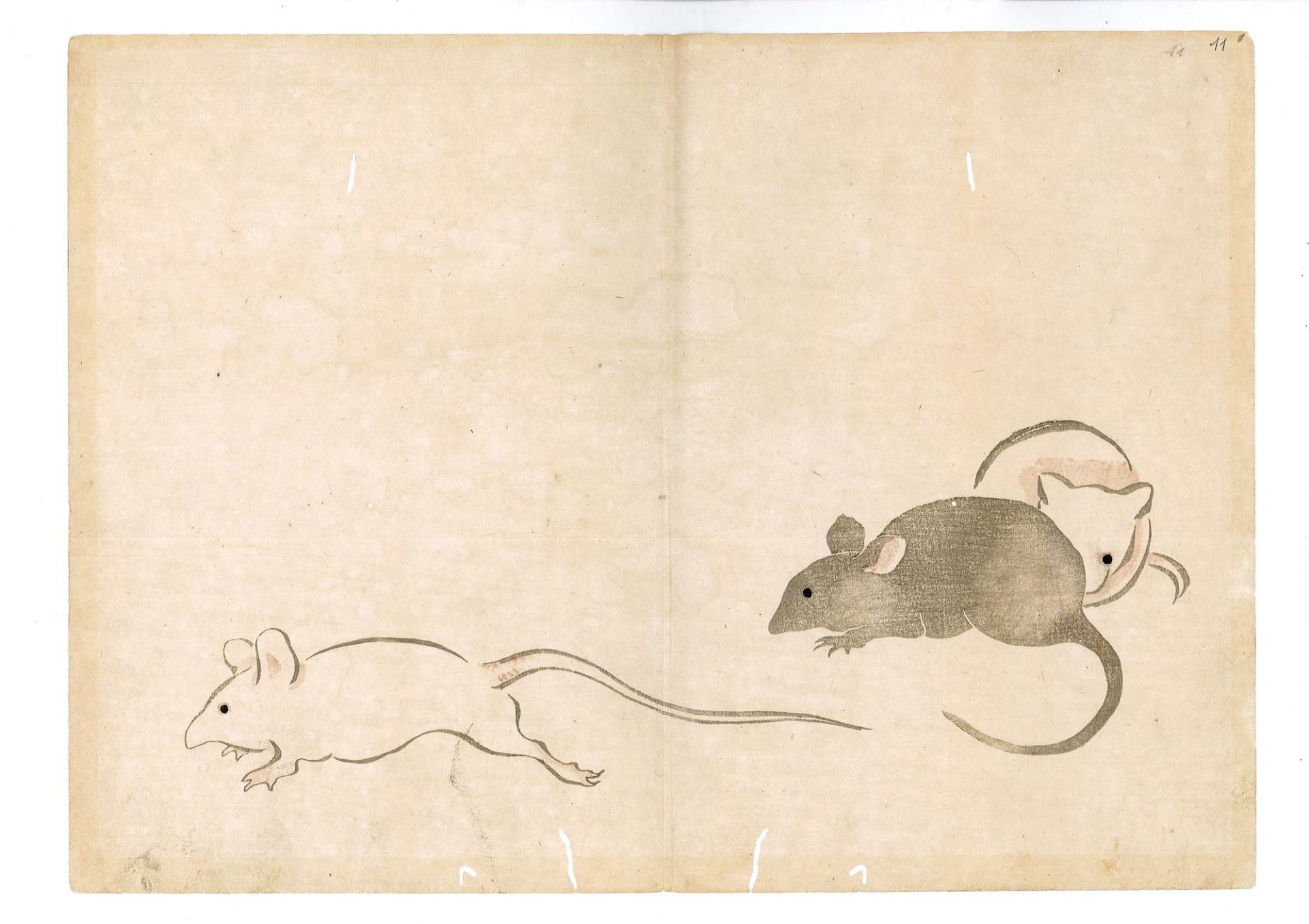 Ogata K?rin (Kyoto 1658 - 1716) attribuito - Image 8 of 16