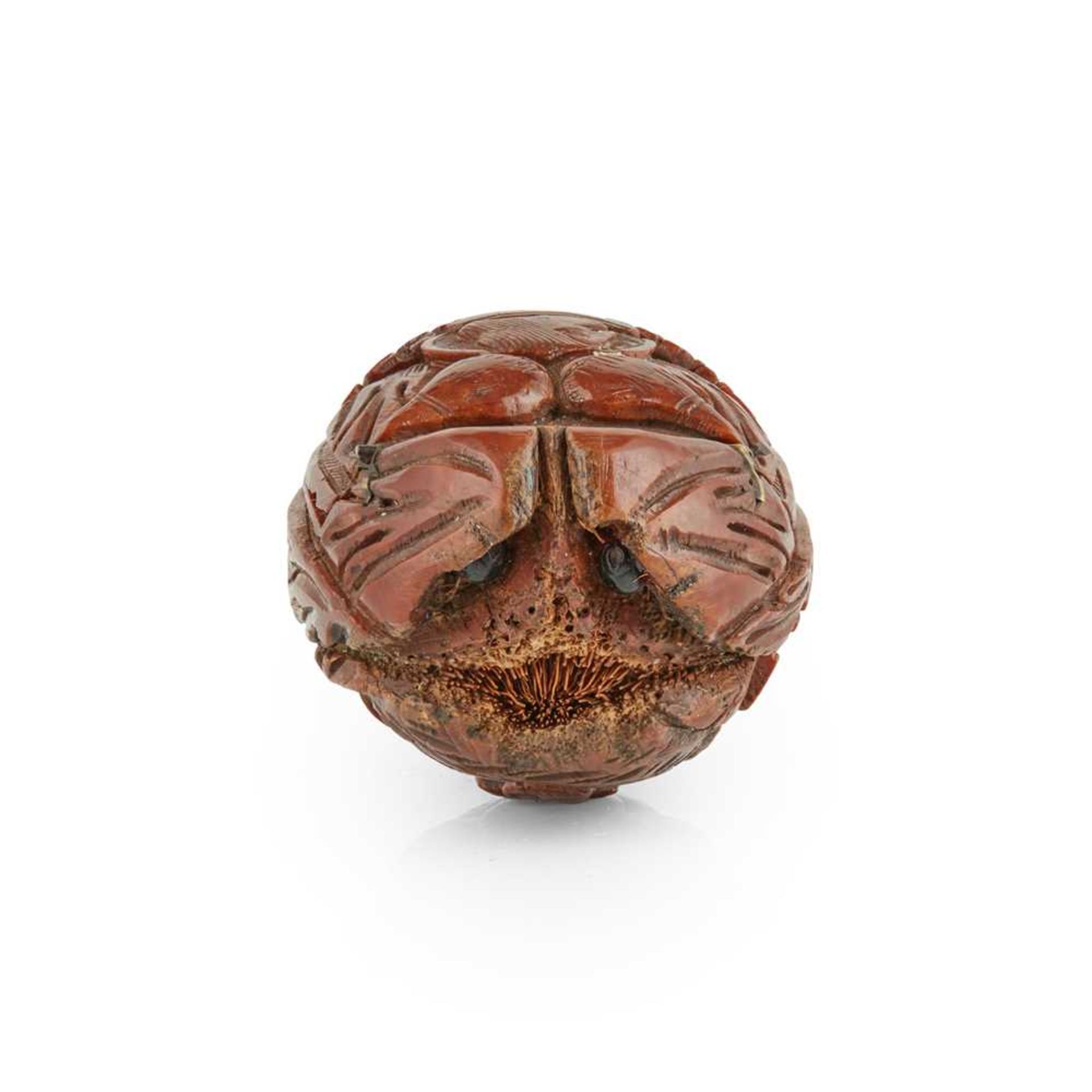 CARVED COQUILLA NUT SNUFF BOX 19TH CENTURY - Image 3 of 3