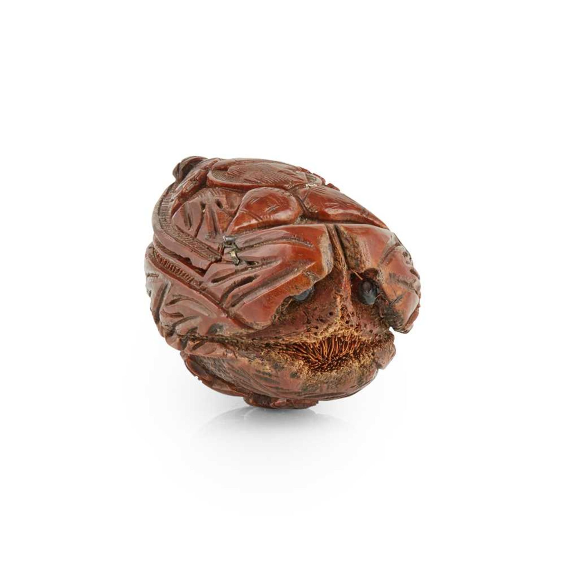 CARVED COQUILLA NUT SNUFF BOX 19TH CENTURY - Image 2 of 3