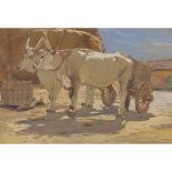 § CHARLES OPPENHEIMER R.S.A., R.S.W (SCOTTISH 1876-1961) CHIANINA CATTLE IN A FARMYARD