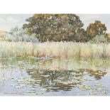 § CHARLES OPPENHEIMER R.S.A., R.S.W (SCOTTISH 1876-1961) THE LILY POND