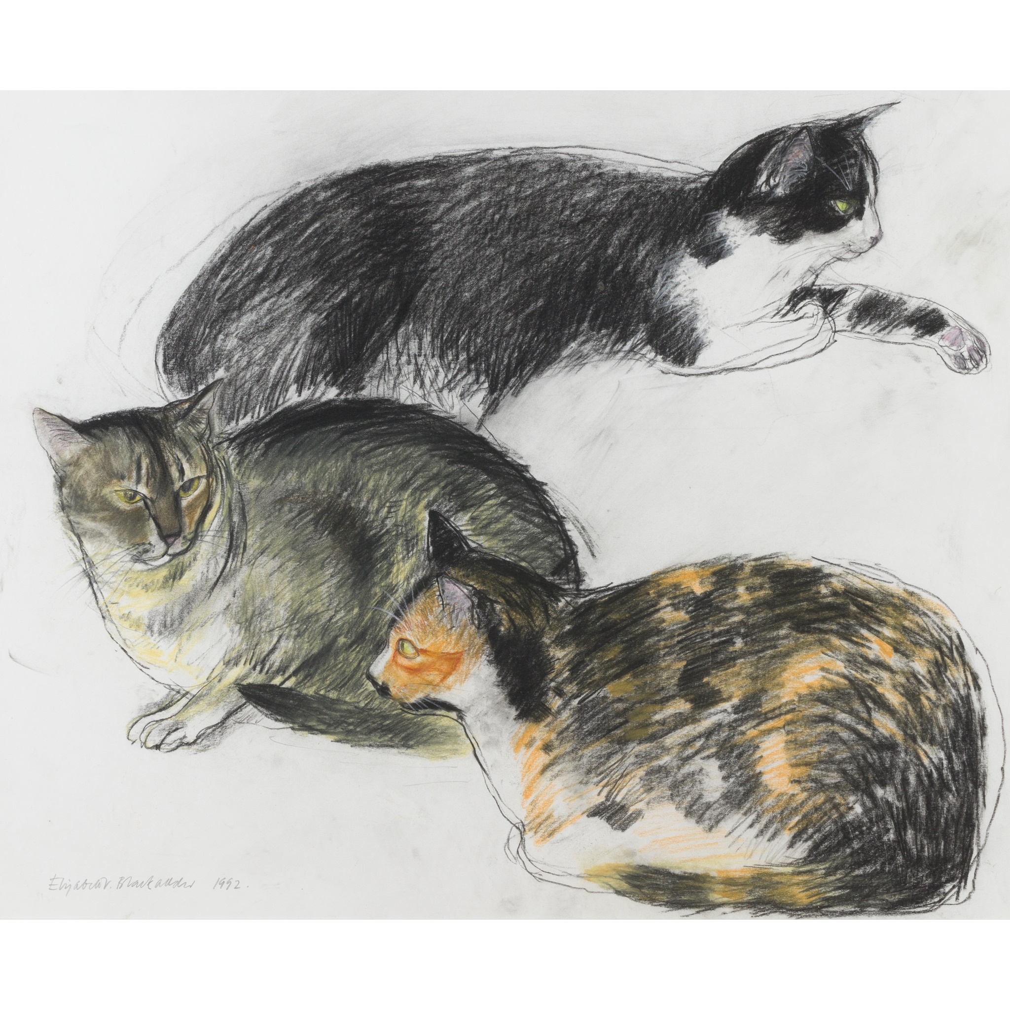 § ELIZABETH BLACKADDER O.B.E., R.A., R.S.A., R.S.W., R.G.I., D.Litt (SCOTTISH B.1931) THREE CATS