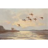 § WILFRED BAILEY (BRITISH 20TH CENTURY) MALLARD LANDING