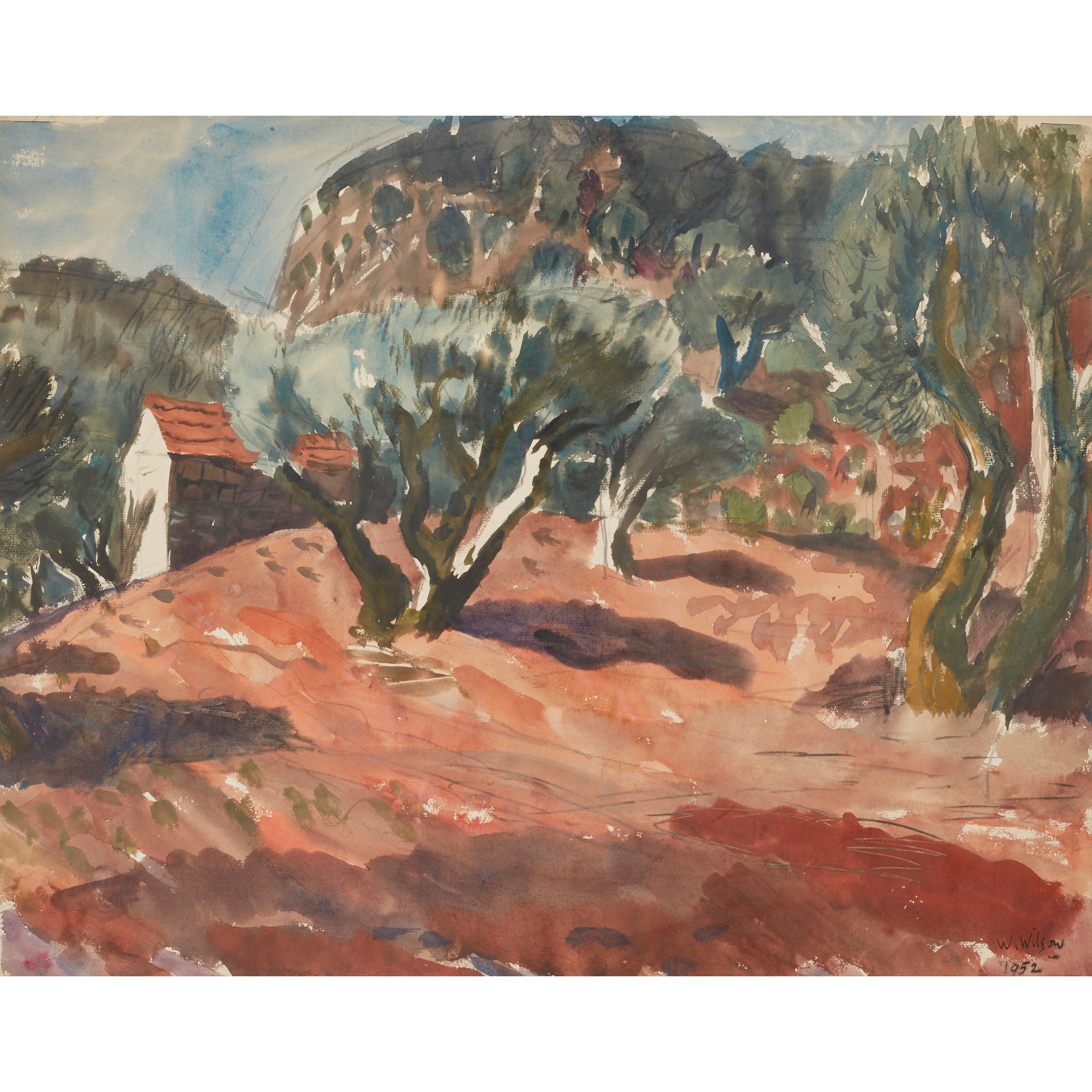 § WILLIAM WILSON O.B.E., R.S.A., R.S.W. (SCOTTISH 1905-1972) OLIVE TREES IN PROVENCE