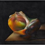 § DAVID WARRILOW (SCOTTISH B.1956) THE TURBAN SHELL - 1991