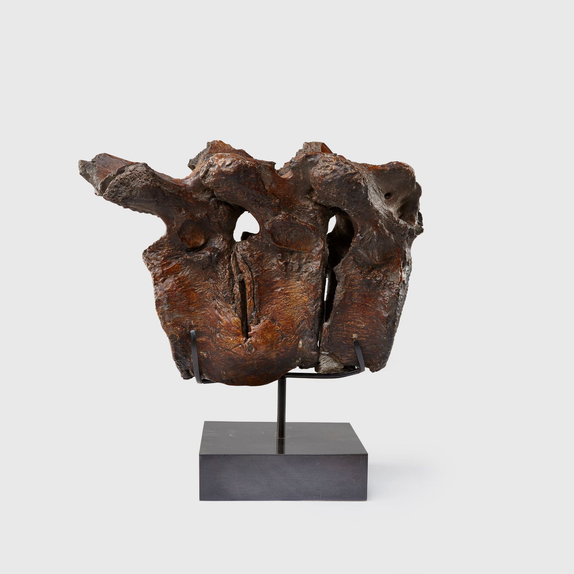 19TH CENTURY PROVENANCE STRAIGHT TUSKED ELEPHANT VERTEBRAE SECTION, ELAPHAS ANTIQUUS EARLY PLEISTOC - Image 2 of 2