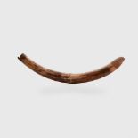 LARGE WOOLLY MAMMOTH TUSK, MAMMUTHUS PRIMIGENIUS SIBERIA, PLEISTOCENE C. 80,000 - 10,000 YEARS B.P.