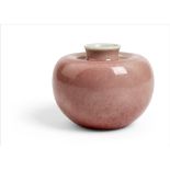 PEACHBLOOM-GLAZED 'APPLE' WATER POT KANGXI MARK