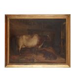 JOHN MCLEOD (SCOTTISH FL.1846-1872) STUDY OF A PRIZE COW AND CALF IN A STABLE INTERIOR