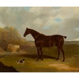 DAVID DALBY OF YORK (BRITISH 1810-1865) A LIVER CHESTNUT HUNTER AND A RED AND WHITE SPANIEL BY A