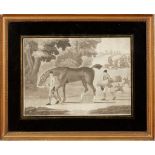 COLLECTION OF ELEVEN MEZZOTINT EQUESTRIAN PRINTS LATE 18TH CENTURY