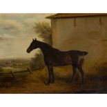 THOMAS WEAVER (BRITISH 1774-1843) THE DARK BAY RACEHORSE 'MAGNET'