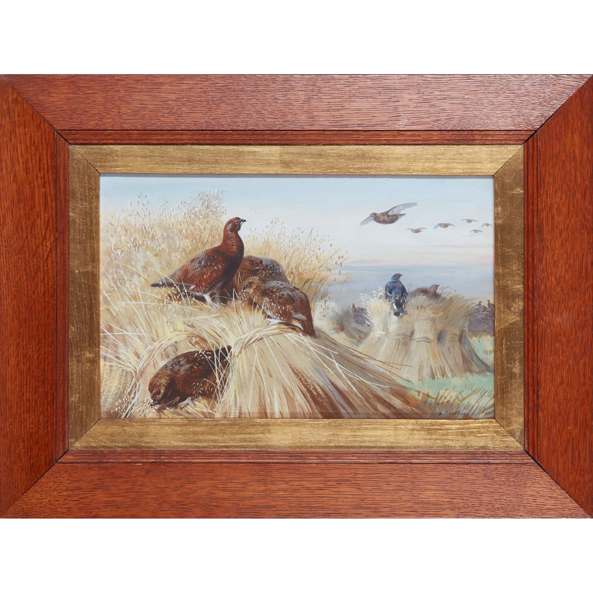 ARCHIBALD THORBURN (SCOTTISH 1860-1935) RED GROUSE AND BLACKCOCK AMONGST THE STOOKS - Image 2 of 3