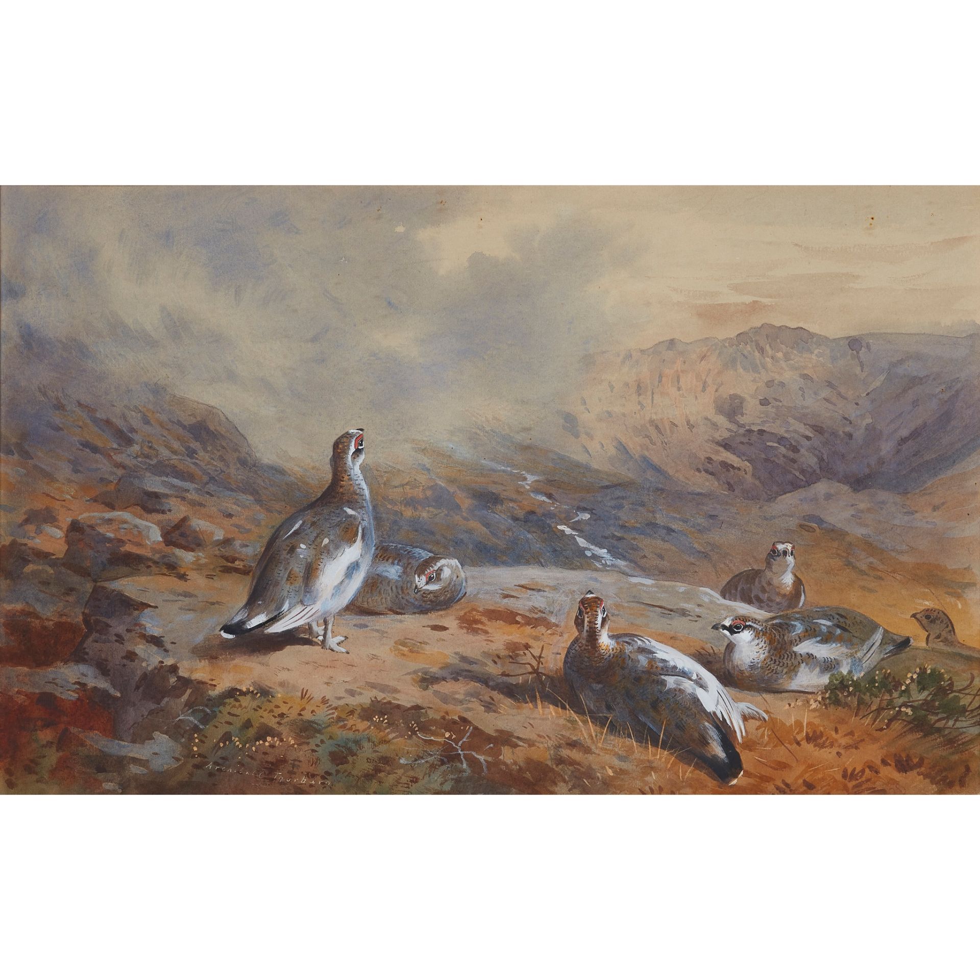 ARCHIBALD THORBURN (SCOTTISH 1860-1935) PTARMIGAN ON A HILLSIDE