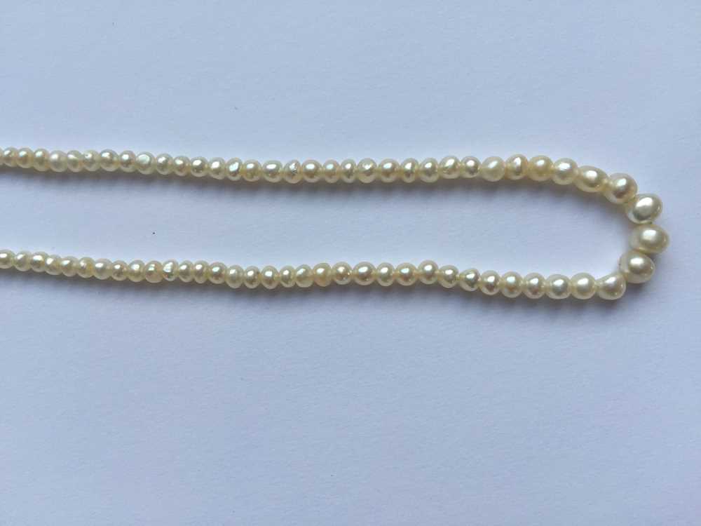 A natural saltwater pearl necklace - Image 3 of 13