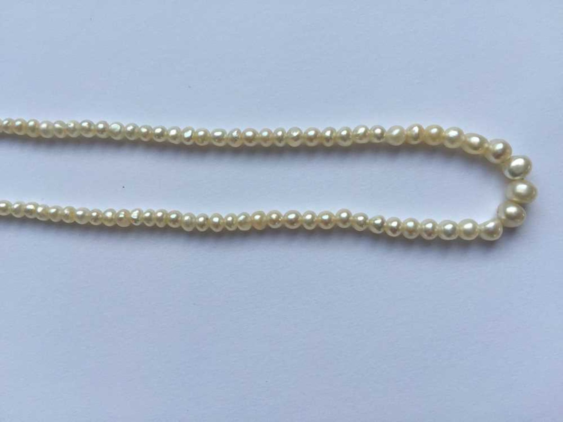 A natural saltwater pearl necklace - Image 3 of 13