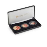 G.B - A cased set of gold and enamel 2019 remembrance day proof coins