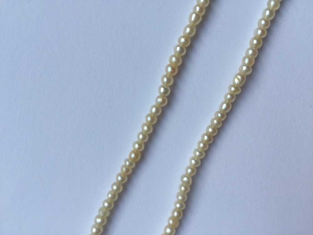 A natural saltwater pearl necklace - Image 4 of 13