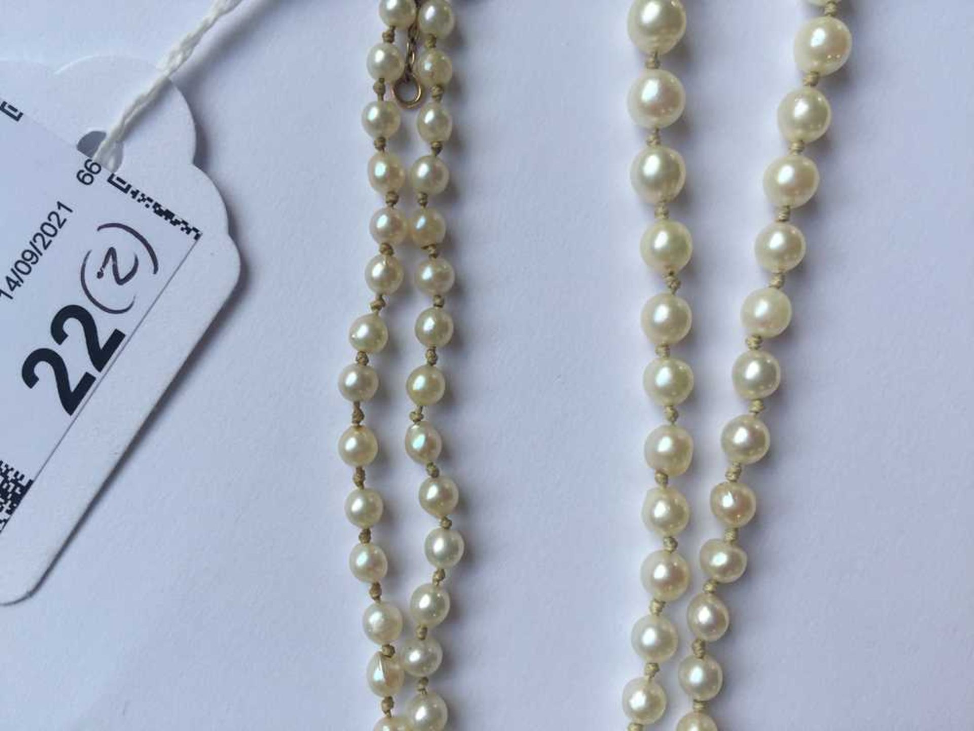 A natural saltwater pearl necklace - Image 13 of 13