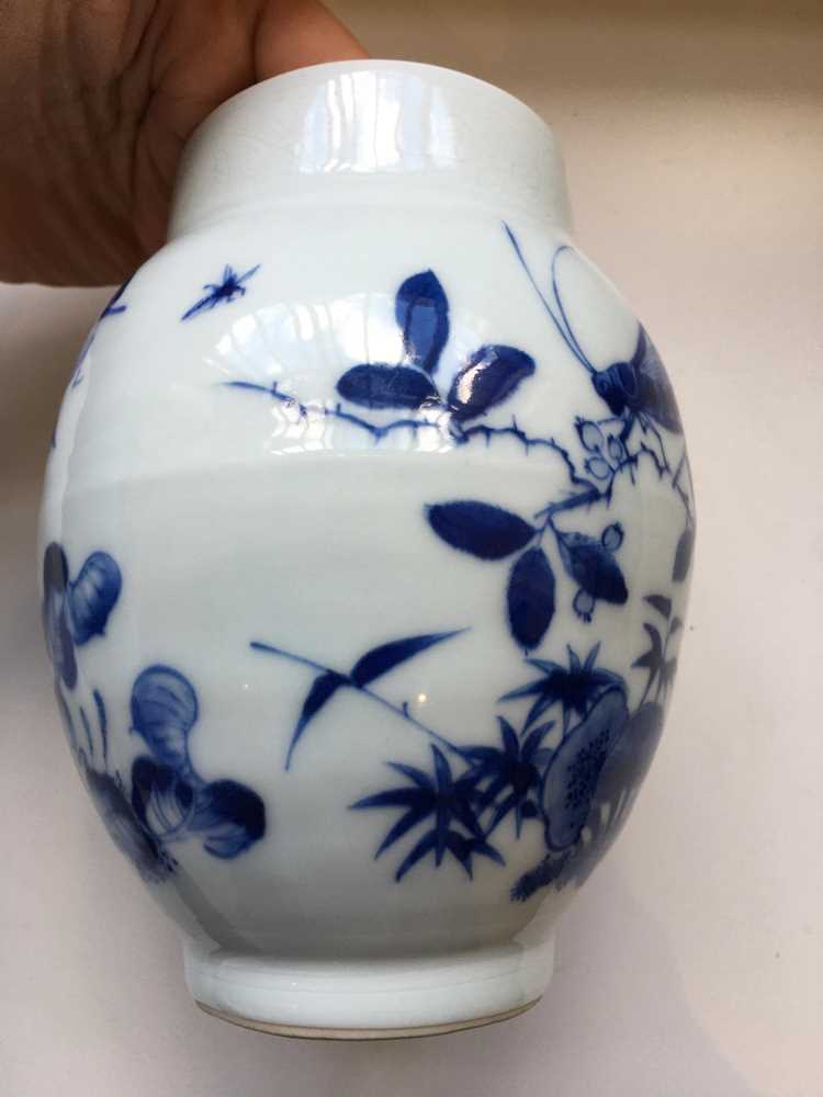 BLUE AND WHITE 'CRICKET AND LILY' JAR - Image 9 of 18