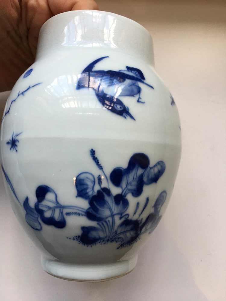 BLUE AND WHITE 'CRICKET AND LILY' JAR - Image 12 of 18