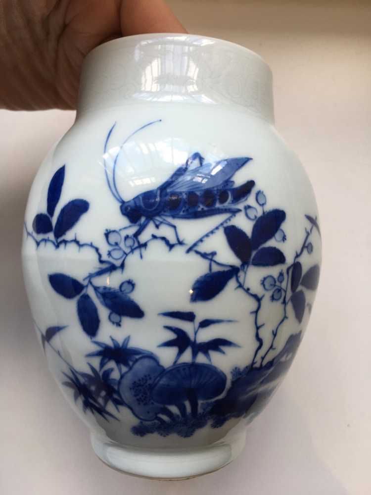 BLUE AND WHITE 'CRICKET AND LILY' JAR - Image 11 of 18