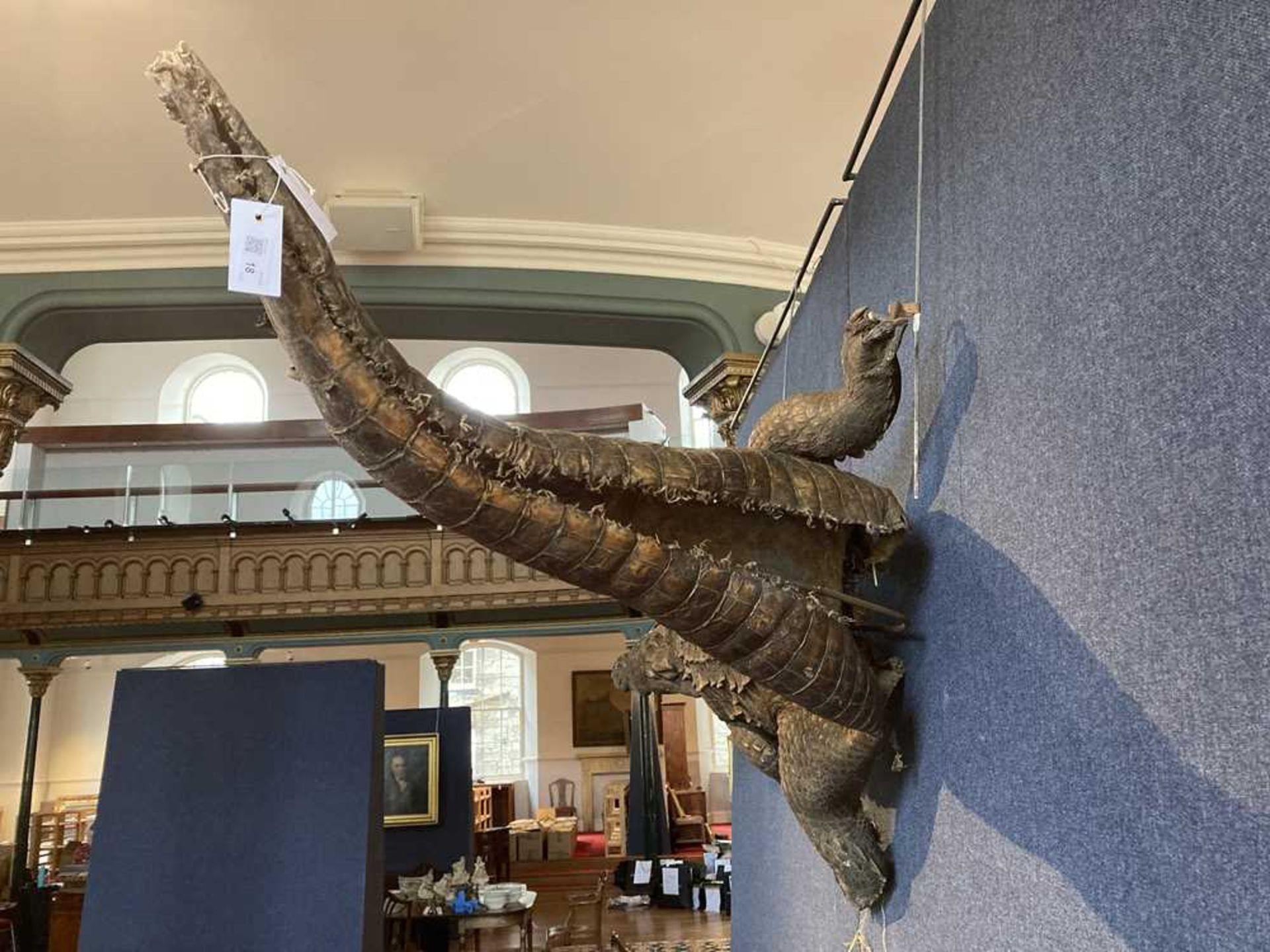 TWO TAXIDERMY NILE CROCODILES LATE 19TH/EARLY 20TH CENTURY - Image 4 of 11