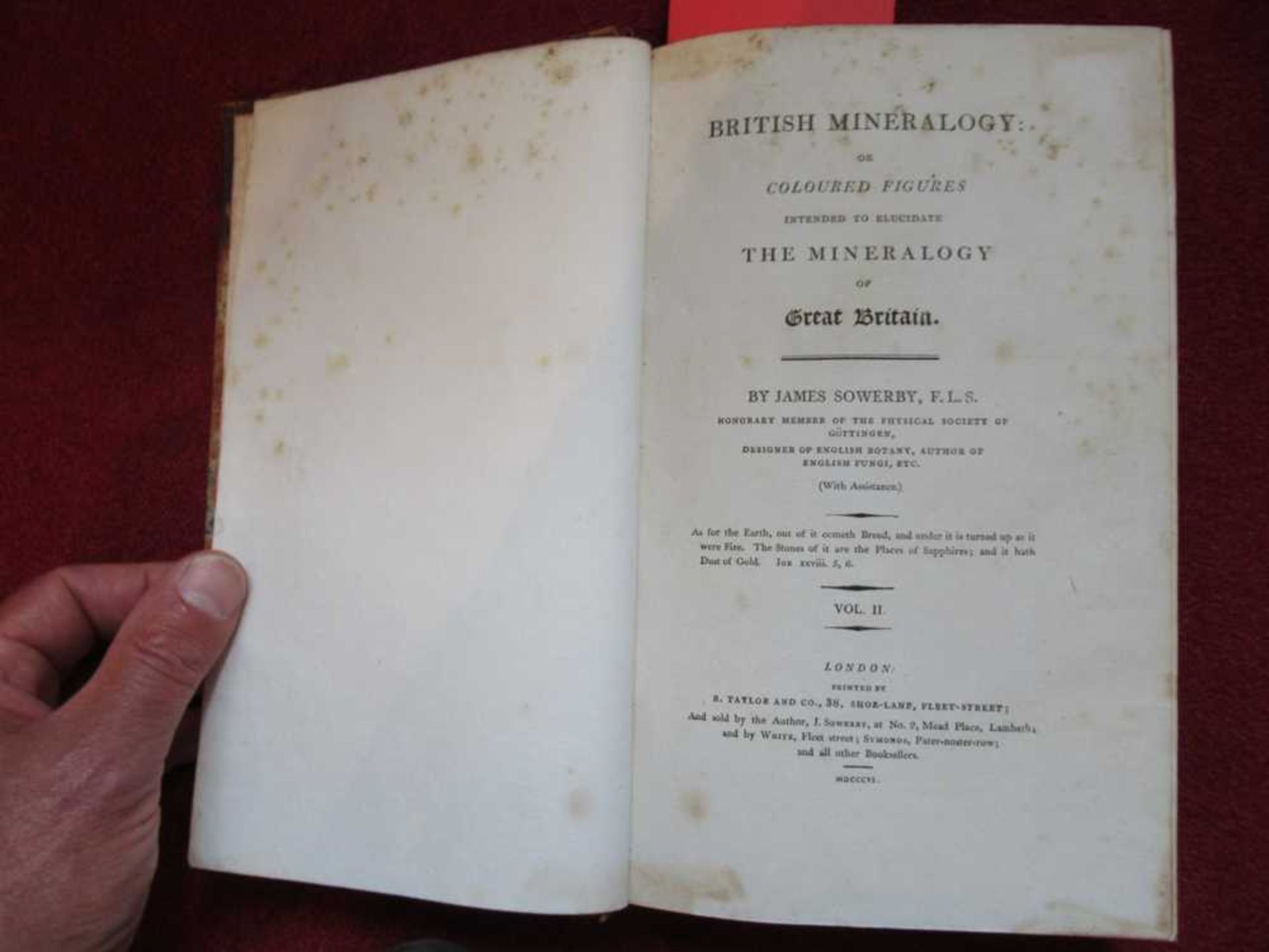 Sowerby, James British Mineralogy - Bild 13 aus 14