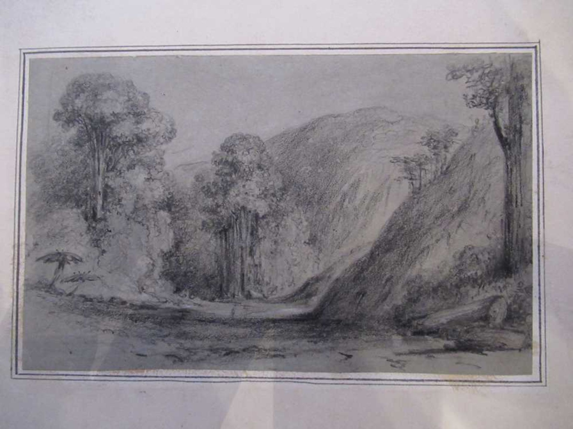 Swainson, William 67 pencil sketches of trees and landscape in New Zealand - Bild 17 aus 19