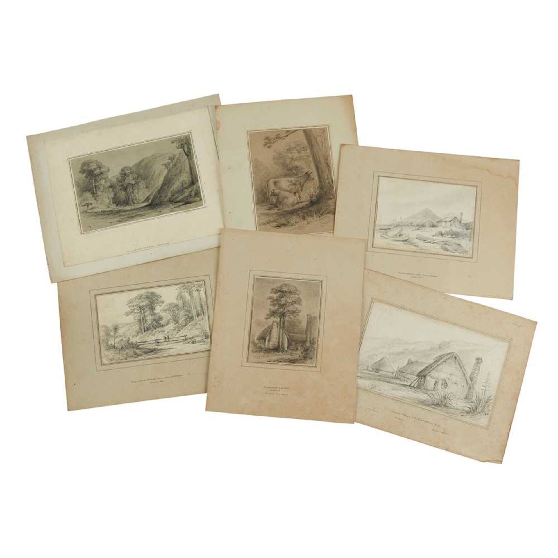 Swainson, William 67 pencil sketches of trees and landscape in New Zealand - Bild 2 aus 19