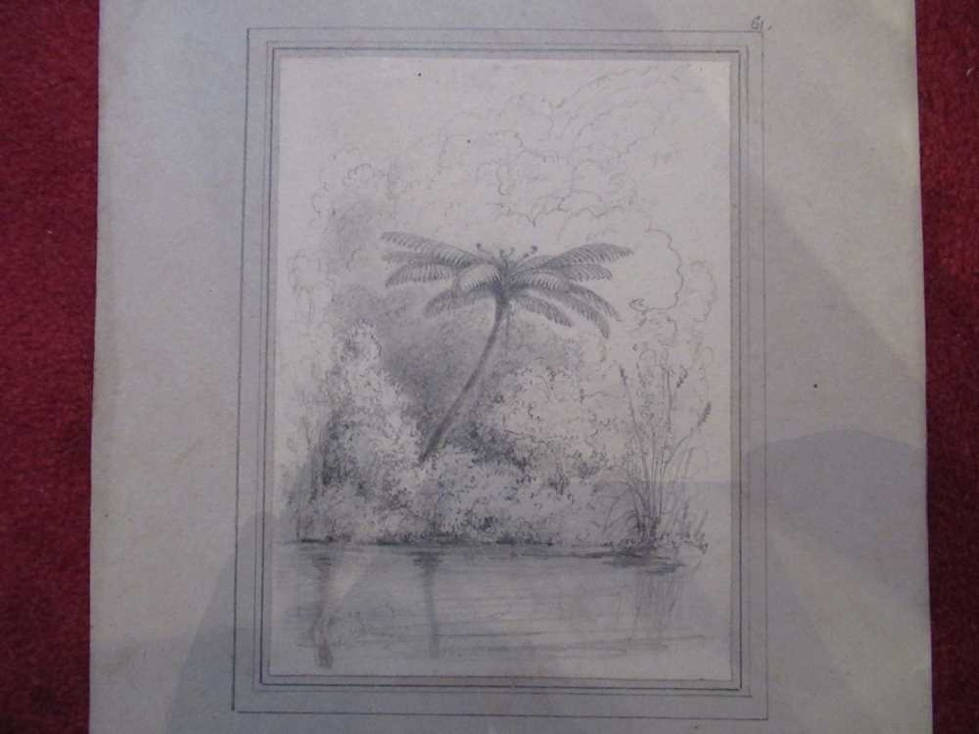 Swainson, William 67 pencil sketches of trees and landscape in New Zealand - Bild 18 aus 19