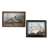 TWO OAK-CASED TAXIDERMY WALL MOUNTED DIORAMAS LATE 19TH/ 20TH CENTURY