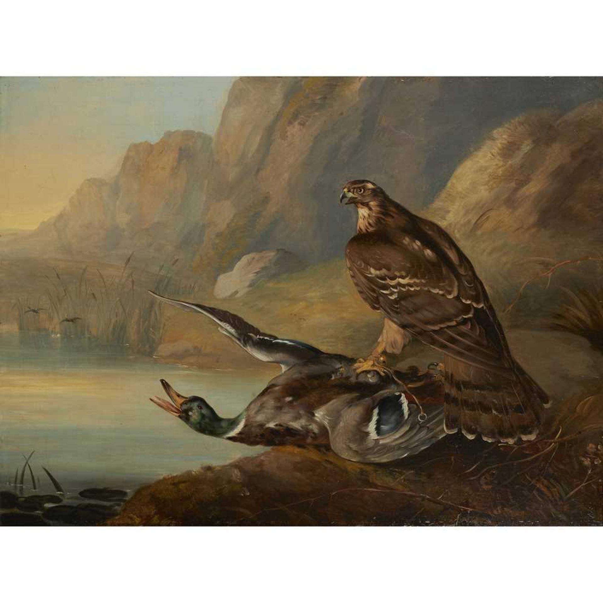 ATTRIBUTED TO PHILIP REINAGLE GOSHAWK ATTACKING A MALLARD