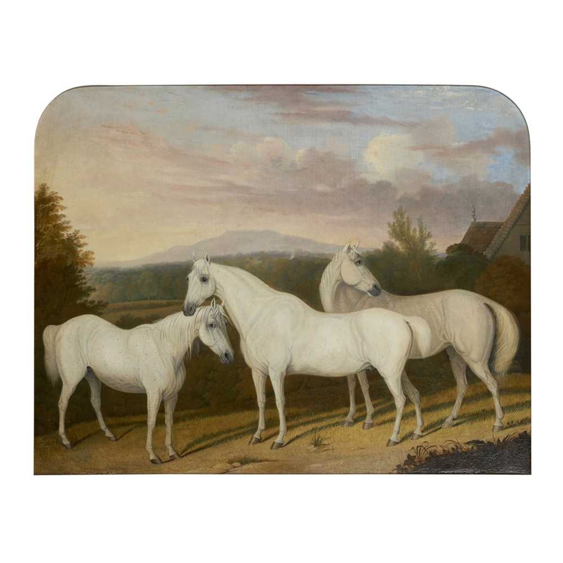 19TH CENTURY ENGLISH SCHOOL THREE ARABIANS IN A WOODED LANDSCAPE